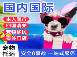 观音航空邮寄国际宠物托运 【国